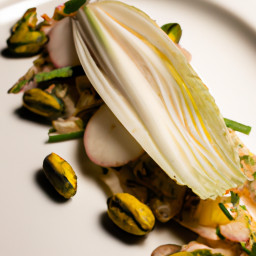 Appetizer: United States – Endive Citrus Salad recipe