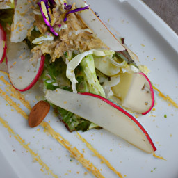 Appetizer: United States – Crisp Fennel-Apple Radish Salad with Lemon-Dijon Vinaigrette and Herbed Almonds recipe