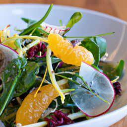 Salad: United States – Watercress Citrus and Shaved Fennel Salad with Tarragon Meyer Lemon Vinaigrette recipe