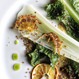 Salad: United States – Bitter Greens with Charred Fennel, Orange and Rosemary-Sherry Vinaigrette recipe
