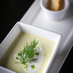 Soup: United States – Silky Fennel-Leek Soup with Lemon-Dill Drizzle recipe
