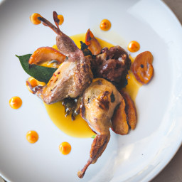 Entrée: France – Cailles Aux Abricots (Quail with Apricots) recipe
