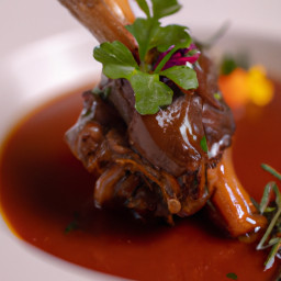 Entrée: United States – Braised Lamb Shanks in Red Wine recipe