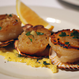 Appetizer: United States – Seared Sea Scallops with Lemon-Butter recipe
