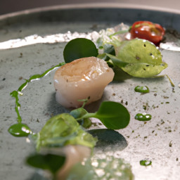 Appetizer: Italy – Capesante Crudo (Scallop Carpaccio) recipe