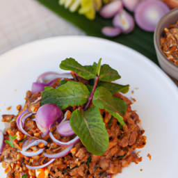 Larb (Minced Meat Salad) recipe