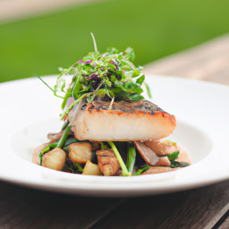 Entrée: United States – Pan-Seared Walleye with Arugula and Shiitake Salad recipe