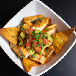 Appetizer: Mexico – Totopos con Pollo (Nachos with Chicken) recipe