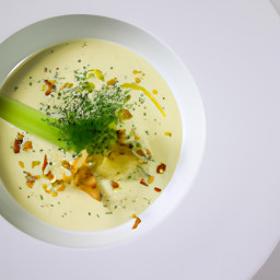 Appetizer: United States – Fennel, Leek and Green Apple Cream Soup with Dill recipe