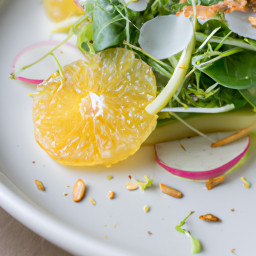 Salad: United States – Crisp Fennel-Apple Arugula Salad with Citrus-Mustard Vinaigrette recipe