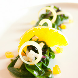 Appetizer: United States – Fennel, Orange & Mint Salad with Preserved Lemon Vinaigrette recipe