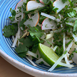 Salad: United States – Zesty Jicama-Radish Slaw with Lime-Cilantro Dressing recipe
