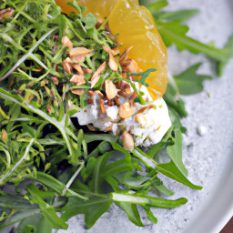 Salad: United States – Citrus Herb Arugula Salad with Shaved Fennel and Pistachios recipe