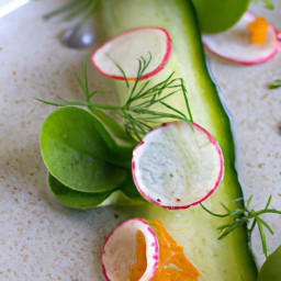 Appetizer: Belgium – Citrus-Dill Cucumber and Radish Endive Spears recipe