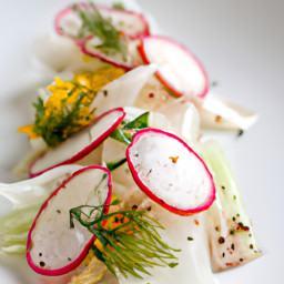 Appetizer: United States – Crisp Fennel and Radish Salad with Lemon-Caper Vinaigrette recipe