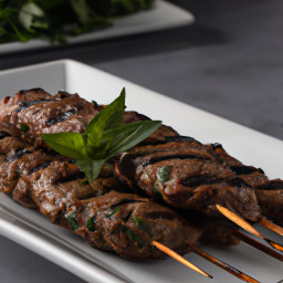 Entrée: United States – Middle Eastern Beef Kebabs recipe