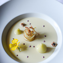 Soup: United States – Juniper-Scented Creamy Parsnip and Apple Soup recipe
