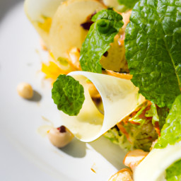 Appetizer: United States – Zesty Fennel-Orange Ribbon Salad with Mint and Hazelnut Crunch recipe